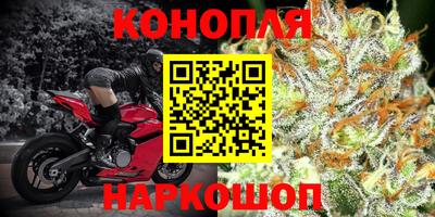 a pvp Славянск-на-Кубани
