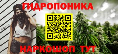 дурь Славгород