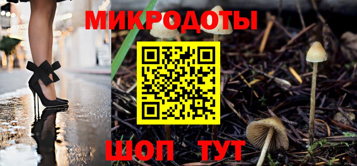 купить закладку  Псилоцибиновые грибы ЛСД  Галлюциногенные грибы прущие грибы  Вход с VPN  Псков 
